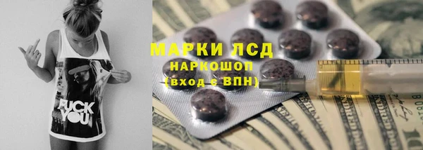 гидра Алексеевка
