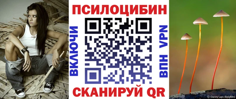 Псилоцибиновые грибы мицелий  наркота  Дрезна 